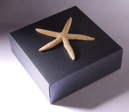 Caja Cuadrada de Cartón para Regalo