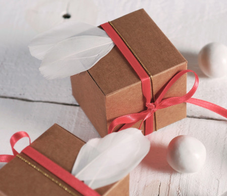 Kleine quadratische Geschenkbox mit Federn
