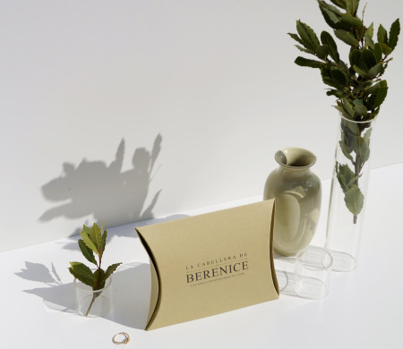 Elegantes Schmucketui