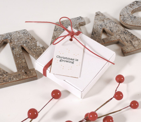 Günstige weiße Weihnachtsbox