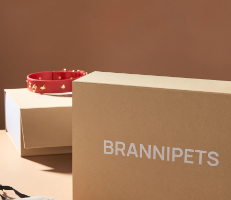 Brannipets Selbstmontage bedruckte gefütterte Box