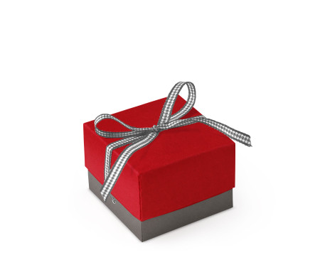 Schöne Geschenkbox mit Deckel und Schleife