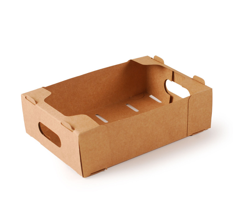 Schachtel aus Karton für kleine Früchte Schachtel aus Karton für kleine Früchte