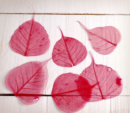 Dekorative Blätter für das Scrapbooking