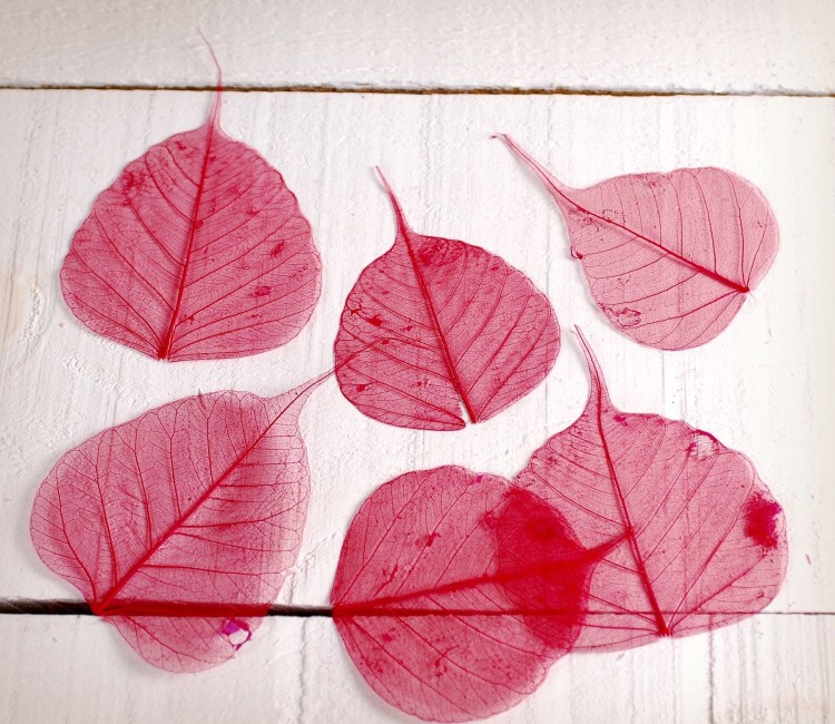 Dekorative Blätter für das Scrapbooking