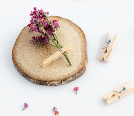Mini-Holzclips zum Dekorieren und Scrapbooking