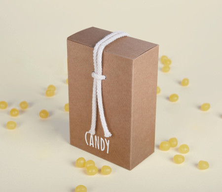 Geschenkverpackung aus Karton mit einem sehr Originellen Verschluß