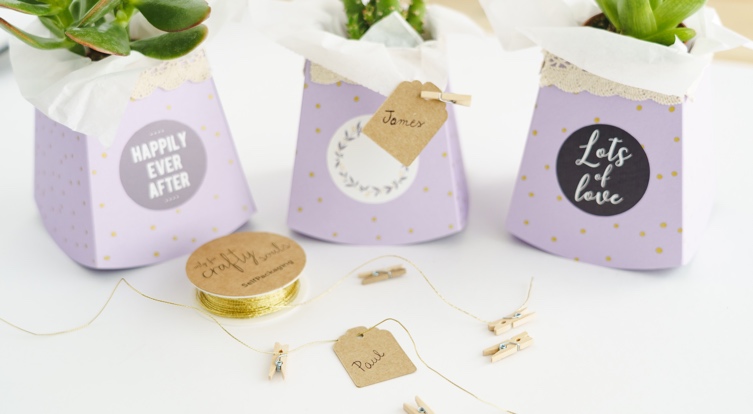 selfpackaging-cactus-boda-cierre