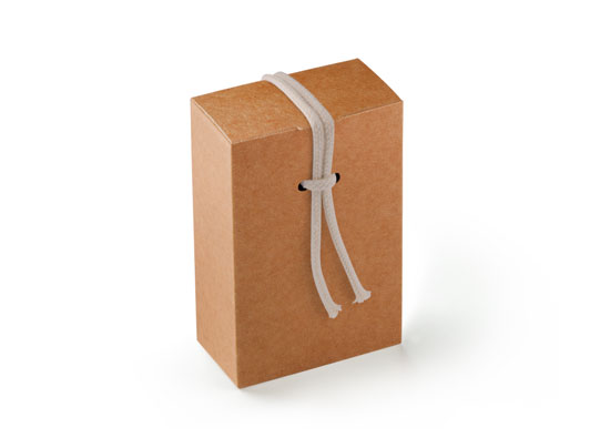 Geschenkverpackung mit Verschließen
