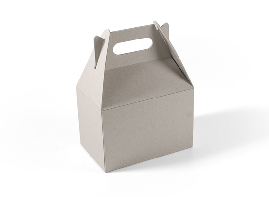 Ökologische Picknickbox aus festem Karton