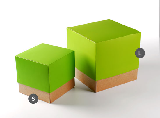 Caja sorpresa para regalo